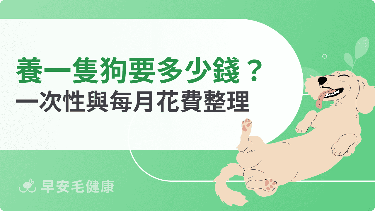 養一隻狗要多少錢?飼主初期與每月花費、預算整理