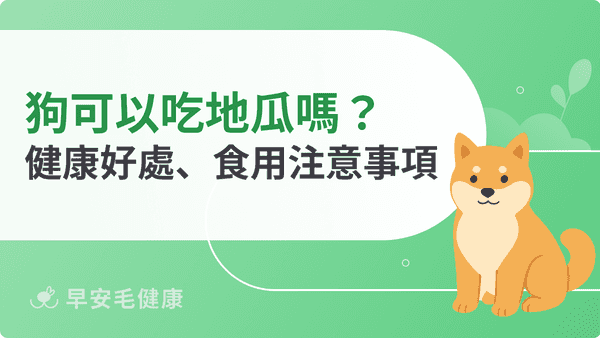 狗可以吃地瓜嗎？地瓜營養好處、安全份量與餵食禁忌解析