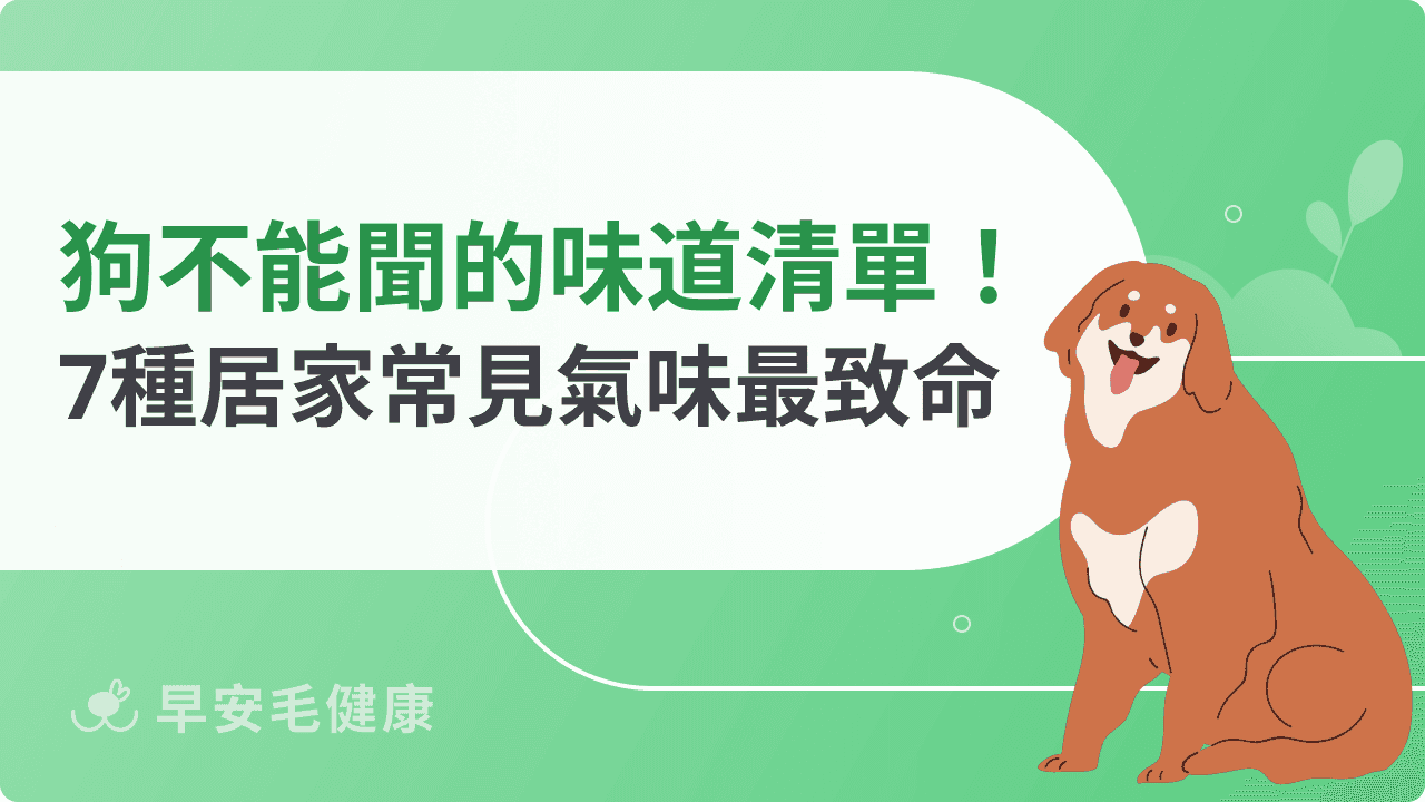 狗狗不能聞的味道清單!7種居家常見氣味最致命