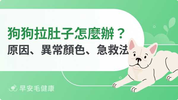 狗狗拉肚子怎麼辦？判斷原因、便便顏色、照護方式一次看！