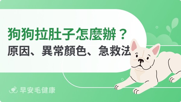 狗狗拉肚子怎麼辦?8大原因、血便判讀與居家照護完整攻略