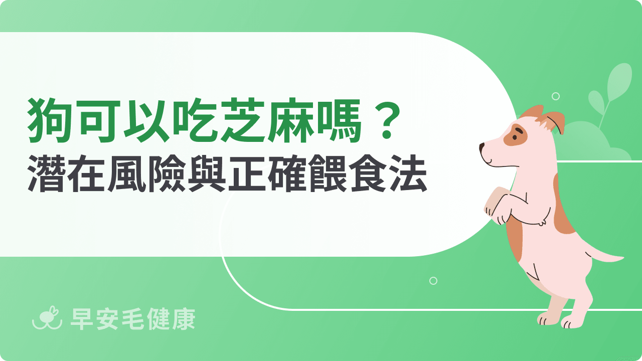 狗可以吃芝麻嗎?餵芝麻可以幫狗狗補鈣?正確餵食觀念報你知