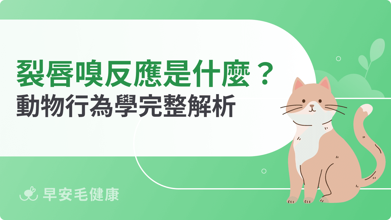 裂唇嗅反應代表什麼?動物行為學完整解析