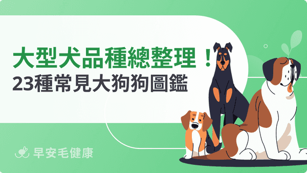 大型犬品種總整理！23 種台灣常見大狗個性與飼養須知