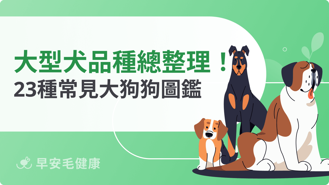 大型犬品種總整理!23 種台灣常見大狗個性與飼養須知