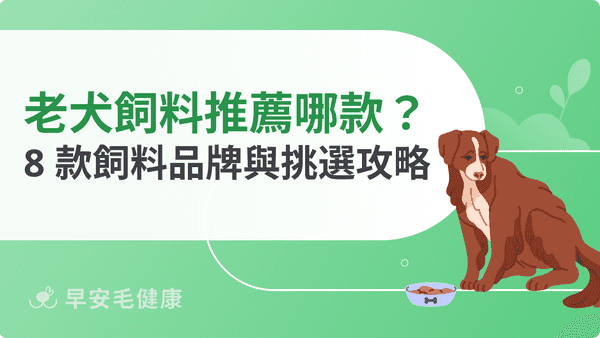 老犬飼料推薦哪款？2026 精選 8 款高齡犬飼料品牌與挑選攻略