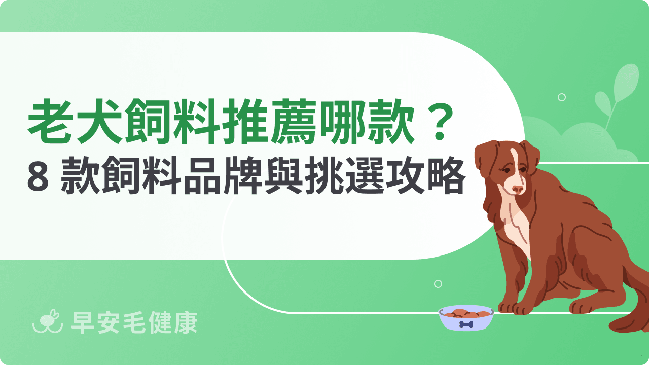 老犬飼料推薦哪款?2026 精選 8 款高齡犬飼料品牌與挑選攻略