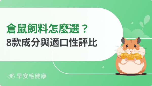倉鼠飼料推薦!2026年最新8款人氣品牌精選評比!