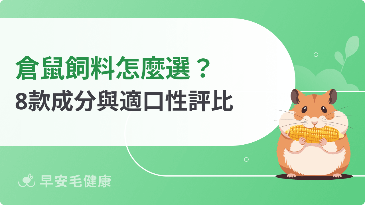 倉鼠飼料推薦！2026年最新8款人氣品牌精選評比！