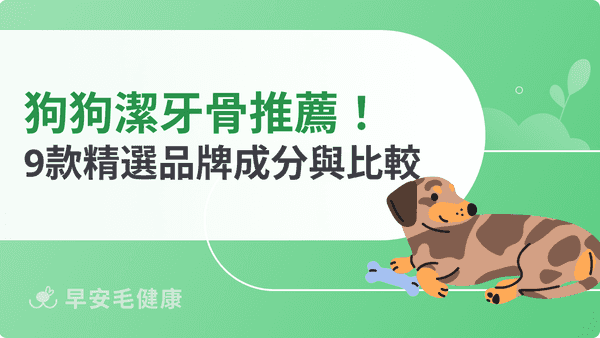 狗狗潔牙骨推薦!2026 精選 9 款評比,挑對潔牙骨不踩雷