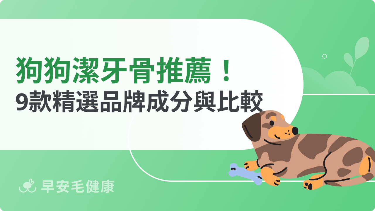 狗狗潔牙骨推薦!2026 精選 9 款評比,挑對潔牙骨不踩雷