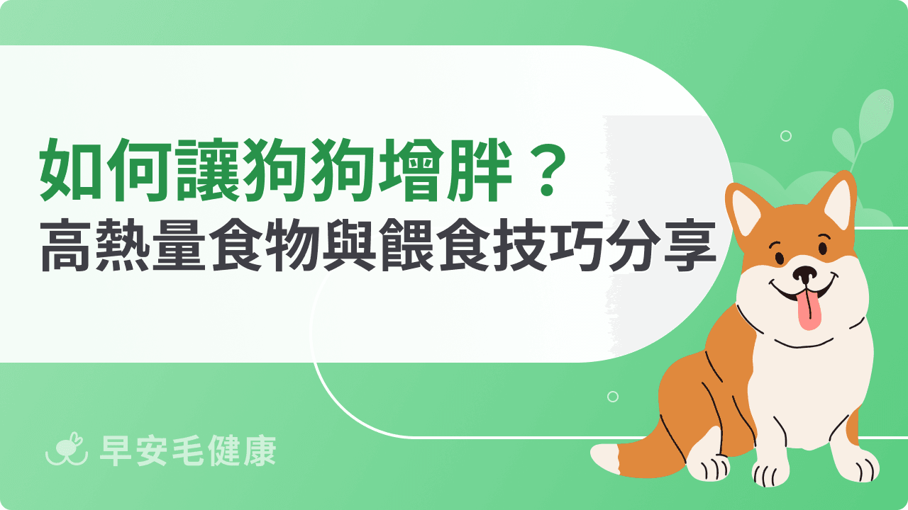 如何讓狗狗增胖最有效?高熱量食物與餵食技巧分享