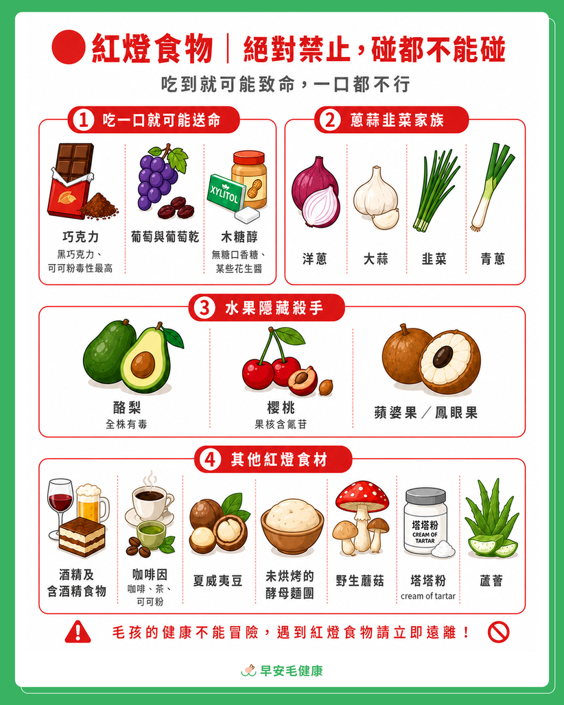 狗不能吃的17種禁忌食物圖表