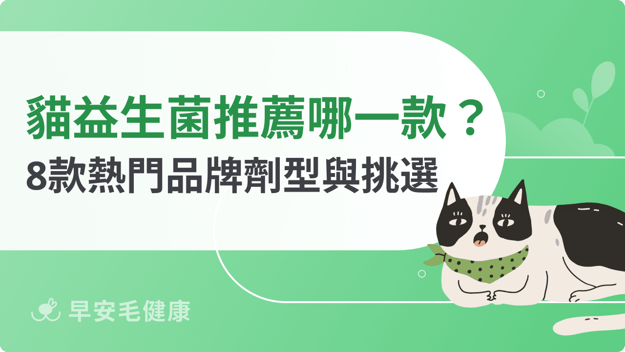 貓益生菌推薦|2026 年 8 款熱門品牌功效、劑型與挑選重點評比