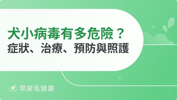 犬小病毒有多危險?症狀、治療費用、疫苗預防與消毒重點