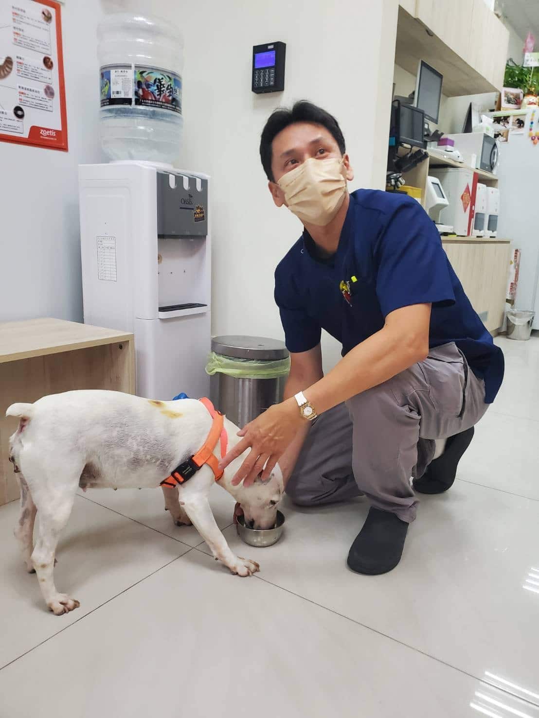 板橋吉恩動物醫院張泮崇院長