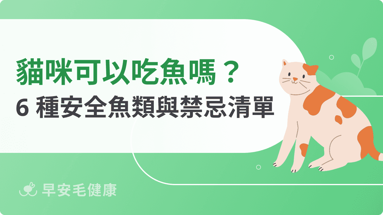 貓可以吃魚嗎？貓可以吃／不能吃的魚類清單解析！