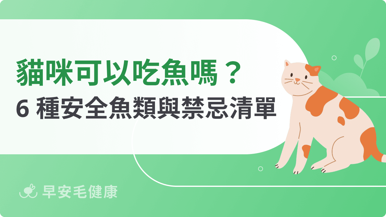 貓可以吃魚嗎?貓可以吃/不能吃的魚類清單解析!