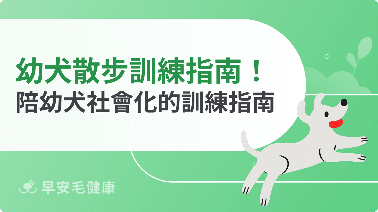幼犬散步訓練怎麼做？飼主必學的5大心法與常見問題全解析