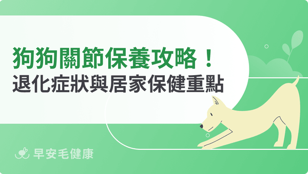 狗狗關節保養幾歲開始?退化警訊、保健成分與居家防護重點