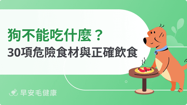 狗不能吃什麼?完整30項危險食材與正確飲食指南