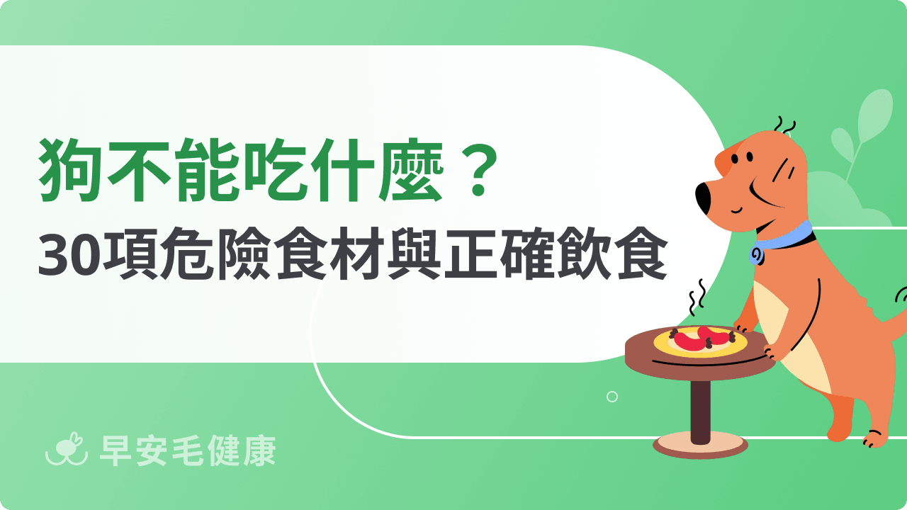 狗不能吃什麼？雞骨、菠菜葉 10 種「餐桌剩菜」恐致命（全30種收錄）