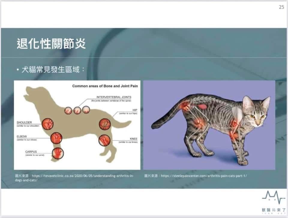 2.mountainvet-pets-osteoarthritis-guide-4
