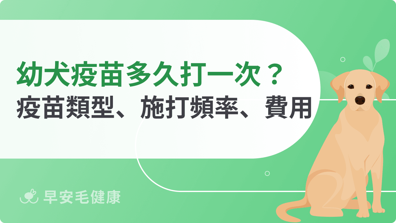 幼犬疫苗多久打一次？狗狗疫苗類型、施打頻率、費用分享