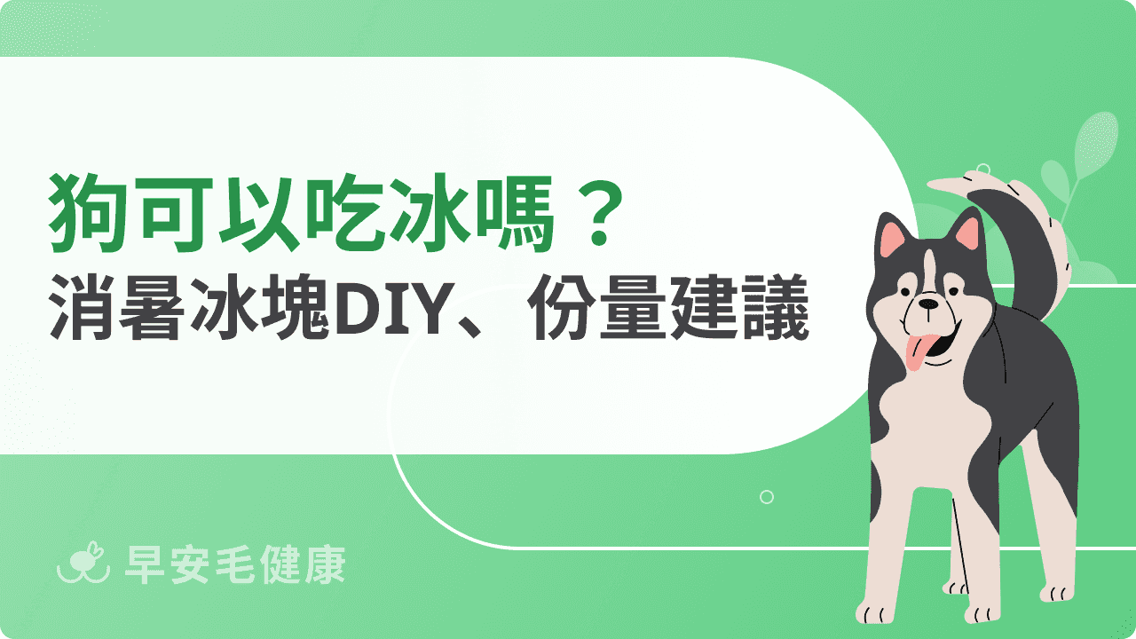 狗可以吃冰嗎？狗可以吃冰淇淋嗎？DIY自製冰與狗狗消暑方法