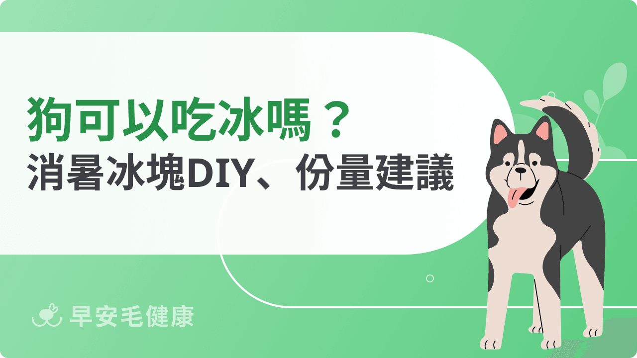 狗可以吃冰嗎？狗可以吃冰淇淋嗎？DIY自製冰與狗狗消暑方法