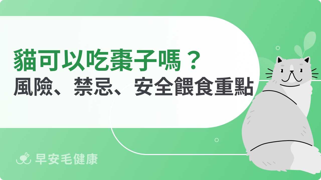 貓可以吃棗子嗎？含糖風險、禁忌與安全餵食方式