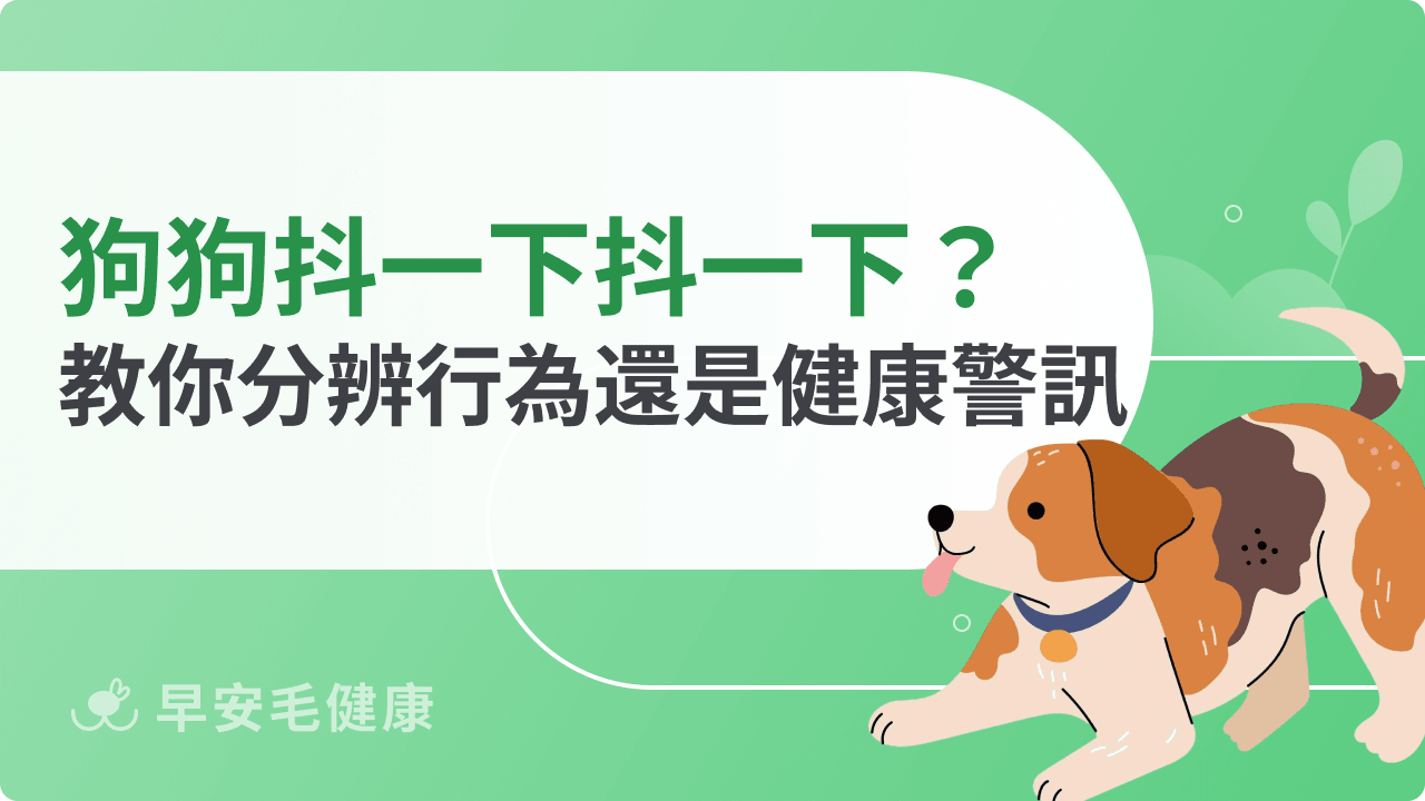 狗狗抖一下抖一下正常嗎？分辨行為還是健康警訊