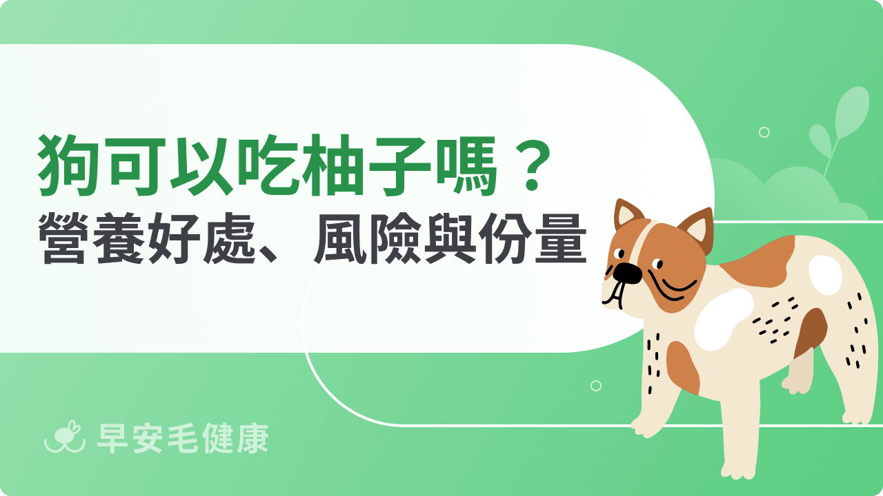 狗可以吃柚子嗎?中秋餵食禁忌、果皮毒性與安全份量飼主必讀