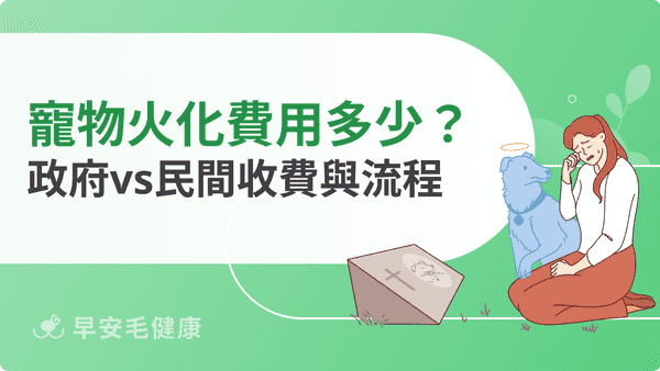 寵物火化費用怎麼算？政府與民間業者收費、火化流程與注意事項