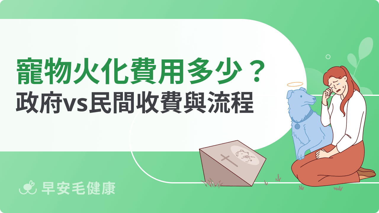 寵物火化費用怎麼算?政府與民間業者收費、火化流程與注意事項