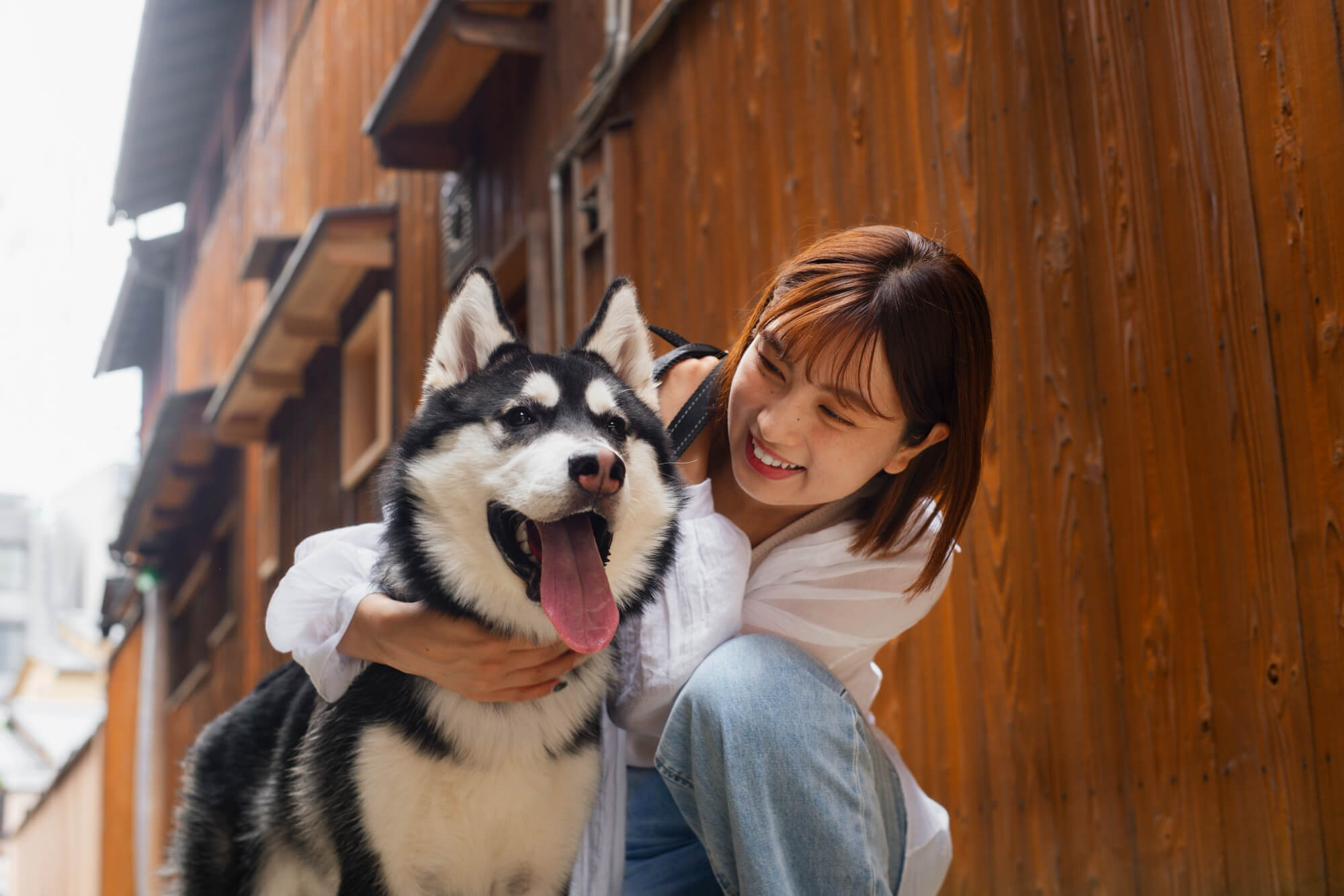87.dog-food-recommendation-3