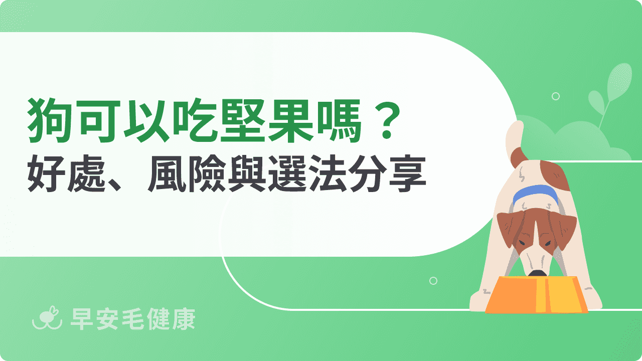 狗可以吃堅果嗎？可安全食用種類與危險種類分享