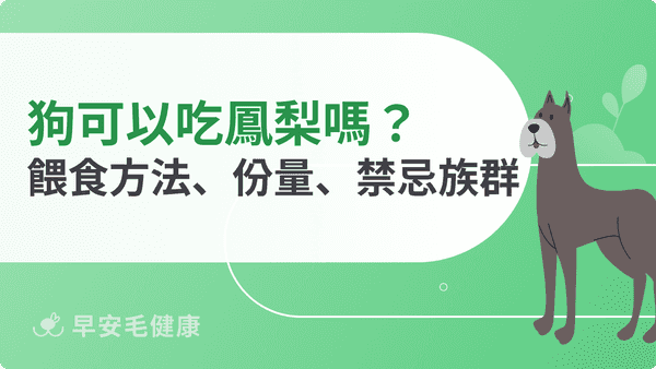 狗可以吃鳳梨嗎？正確餵法、份量表與鳳梨酥、鳳梨乾等食用須知