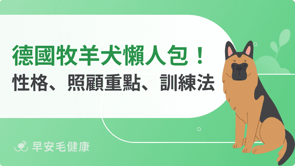 德國牧羊犬適合養嗎？德牧價格、個性與訓練方法全解析