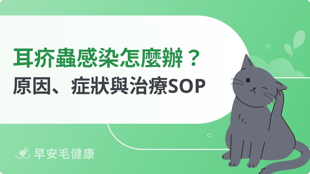 耳疥蟲來襲怎麼辦?狗貓「黑耳垢」感染原因、症狀與治療SOP
