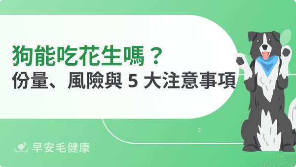 狗可以吃花生嗎?可以吃花生醬嗎?蒸花生、花生糖等常見食物解析
