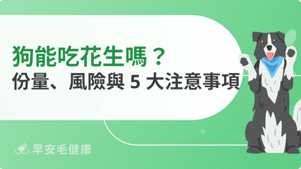 狗可以吃花生嗎？可以吃花生醬嗎？蒸花生、花生糖等常見食物解析
