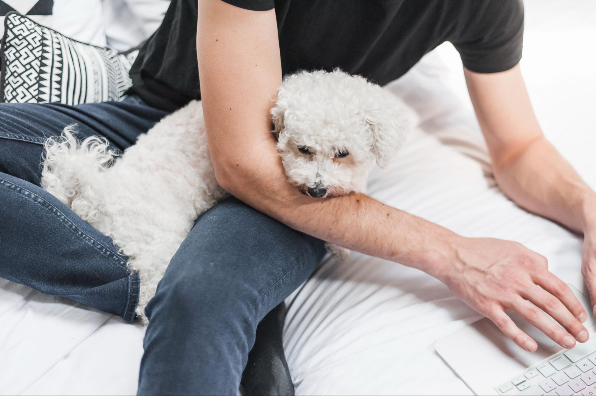 135. AI - signs-your-dog-loves-you