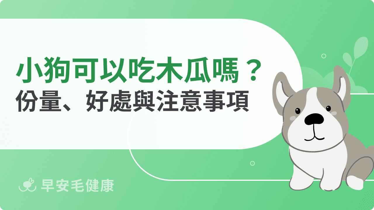 狗狗可以吃木瓜嗎？木瓜肉、籽、皮、青木瓜、木瓜牛奶完整解析