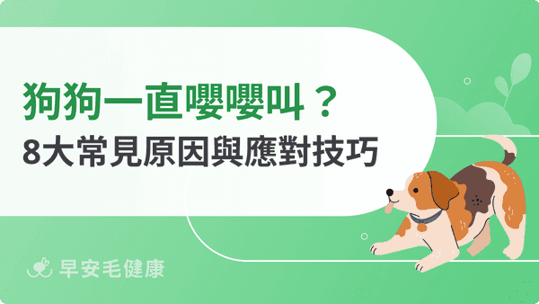 狗狗一直嚶嚶叫怎麼辦?狗狗哭不停8大原因與應對技巧