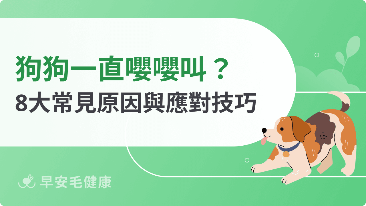 狗狗一直嚶嚶叫?狗狗嚶嚶叫8原因、解法