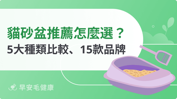 貓砂盆推薦15款!開放式、自動型怎麼選?5大類型不踩雷指南