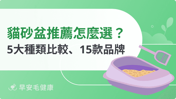 貓砂盆推薦15款!開放式、自動型怎麼選?5大類型不踩雷指南