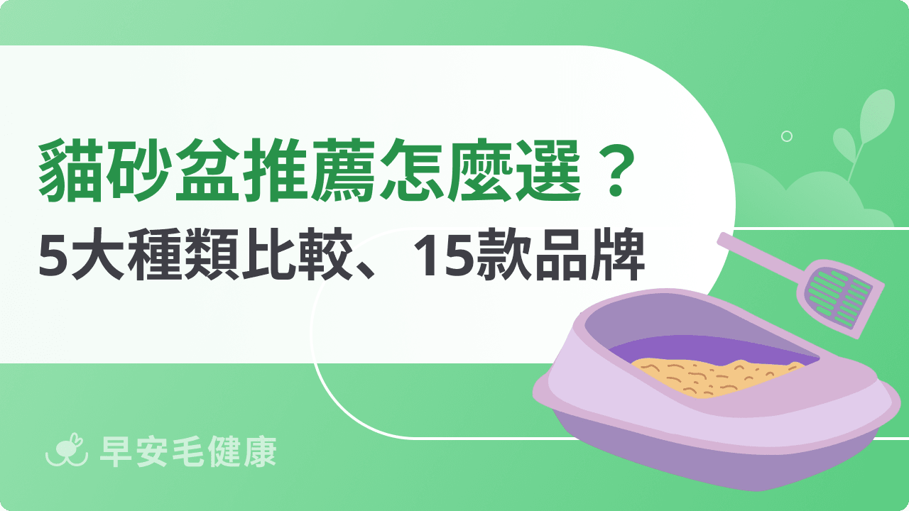 貓砂盆推薦15款!開放式、自動型怎麼選?5大類型不踩雷指南
