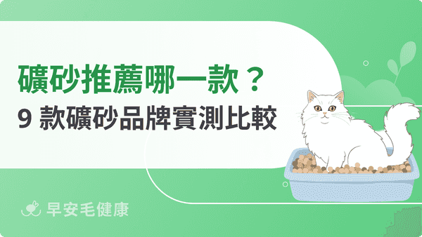 礦砂推薦指南：9 款低粉塵、高凝結力礦砂品牌實測比較